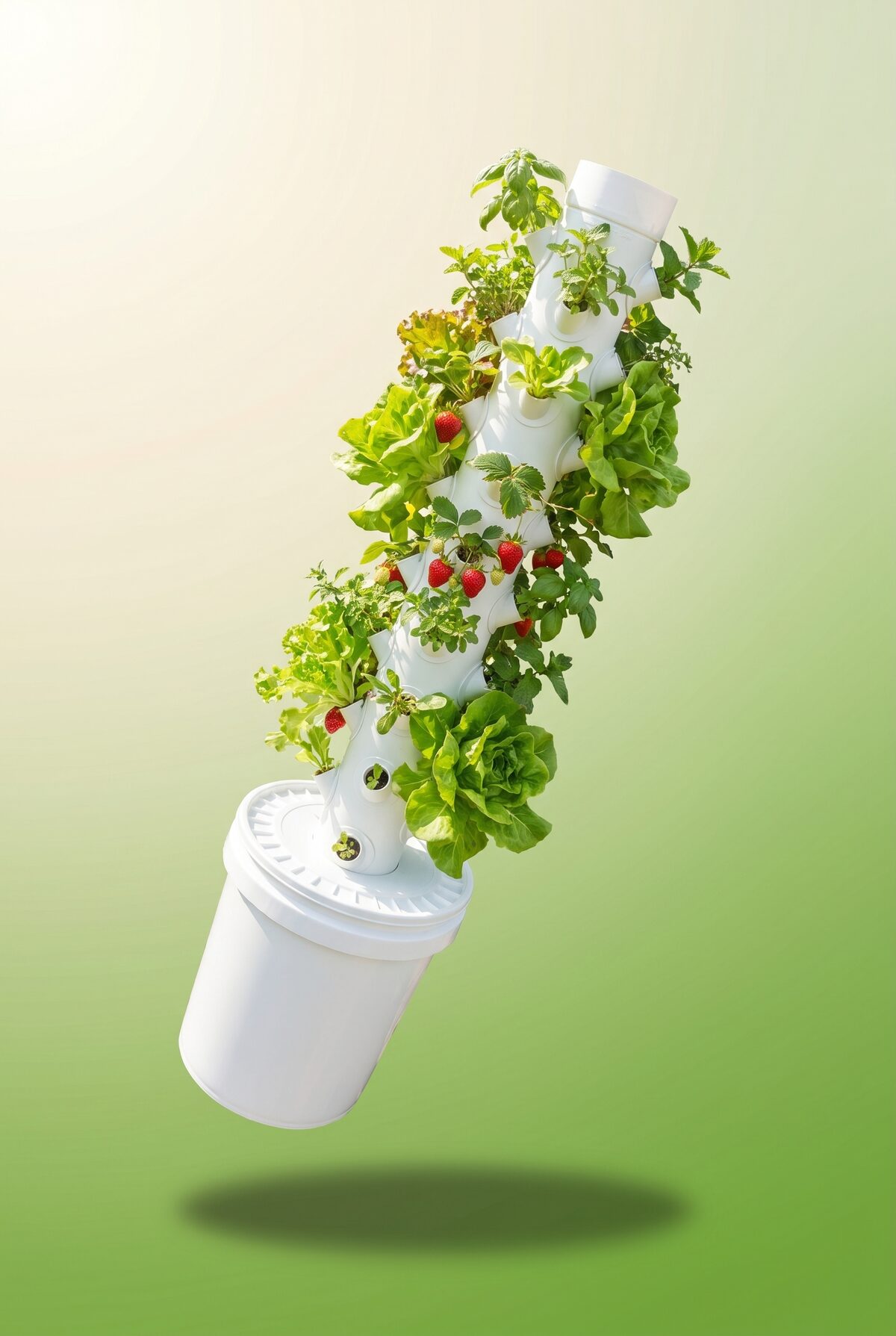 Hydroponic herb tower growing in a home kitchen